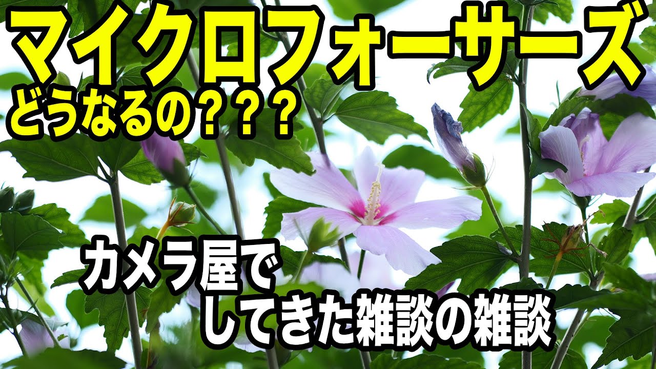 ほぼ無編集雑談！マイクロフォーサーズどうなる？X-halfは売れている？LUMIXに要望など