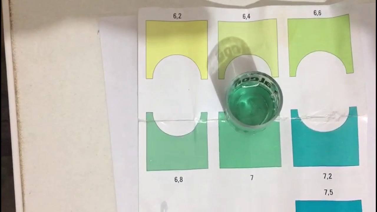 Show de cores!!! Medindo o pH da &aacute;gua!