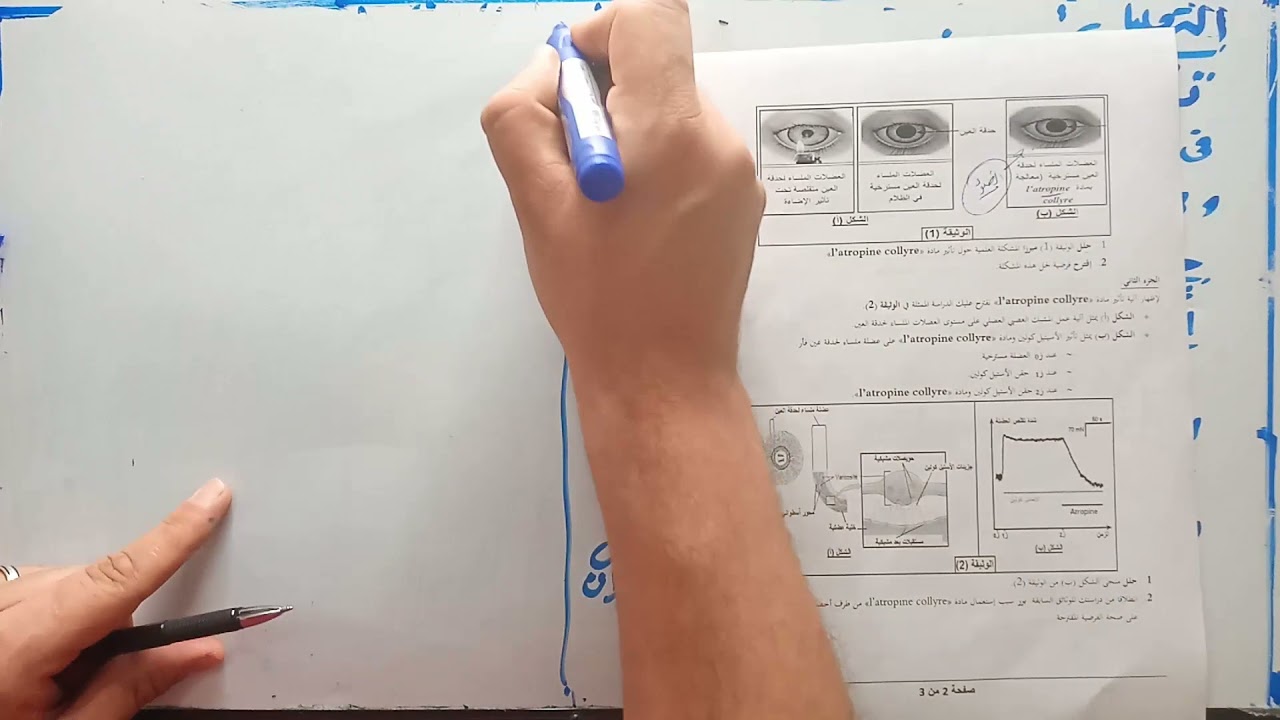تمرين حول المنعكس العضلي 2 ع ت