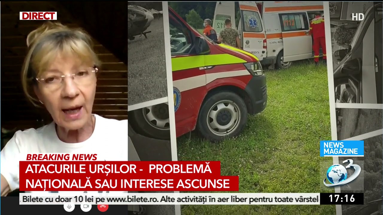 Locuitorii din Băile Tuşnad, disperaţi şi îngrijoraţi din cauza urşilor. Avocatul atacat: M-a scutur