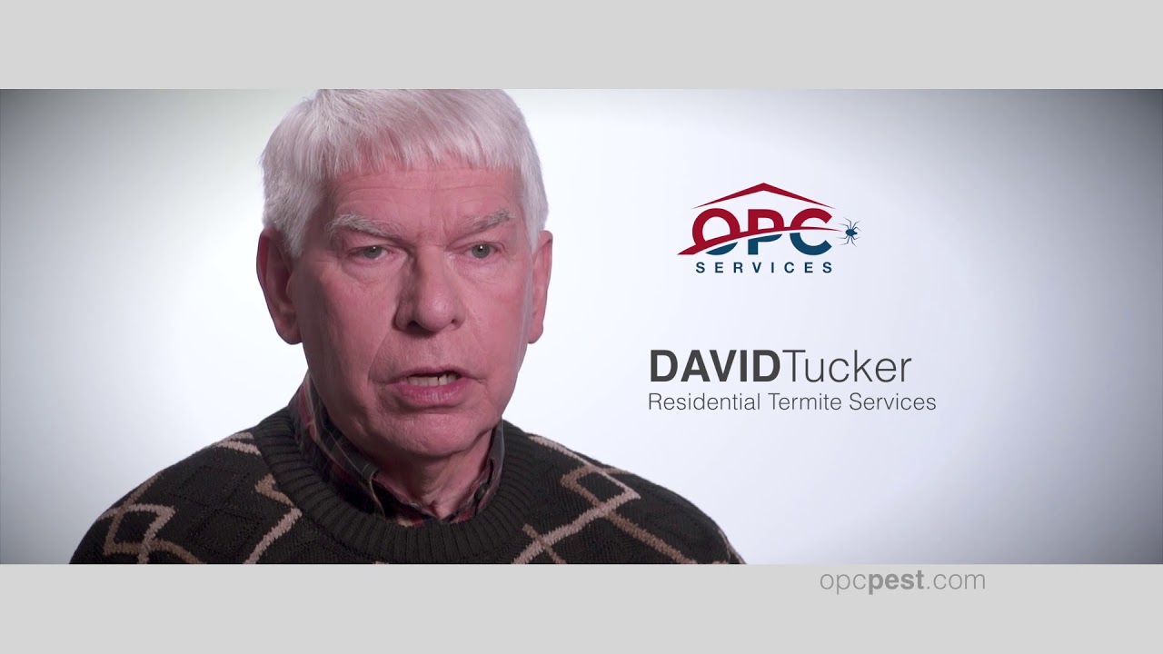 Recommending a pest control company for termites
