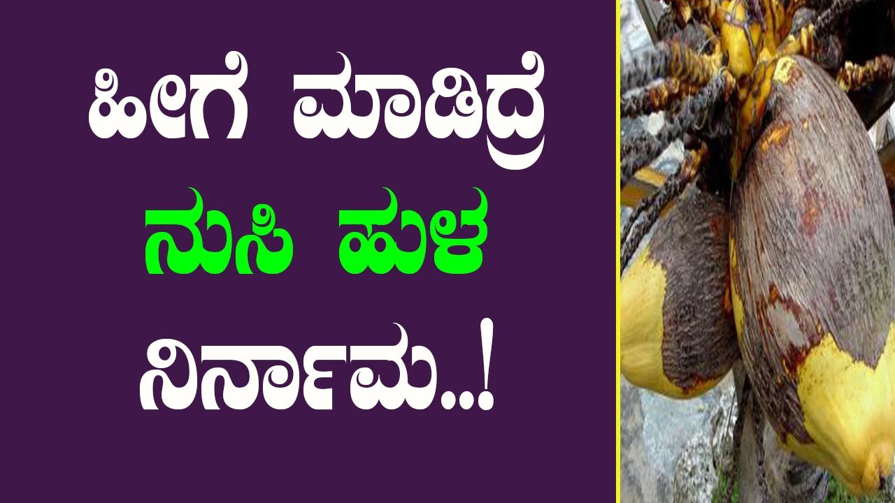 ನುಸಿ ಹುಳ ನಿಮ್ಮ ಬೆಳೆ ಹತ್ತಿರ ಸುಳಿಯದಂತೆ ಮಾಡಲು ಇಲ್ಲಿದೆ ಉಪಾಯ..! #Technique to control mites PART-1