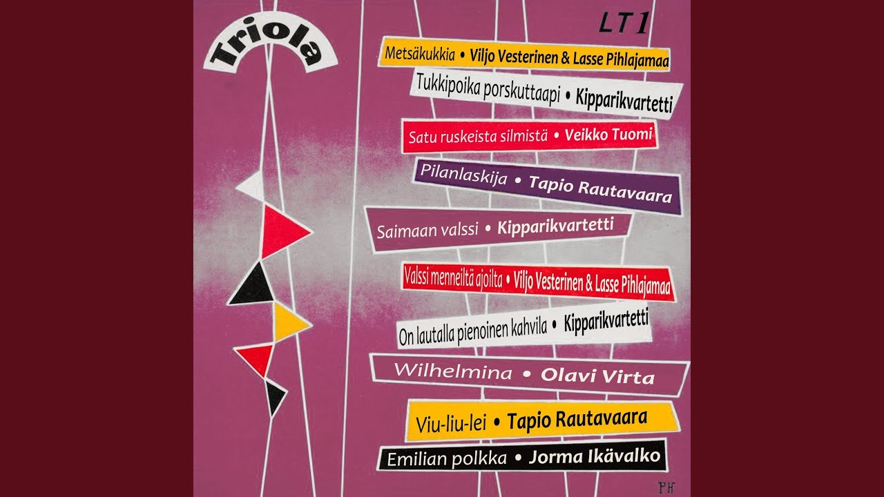 Satu ruskeista silmistä