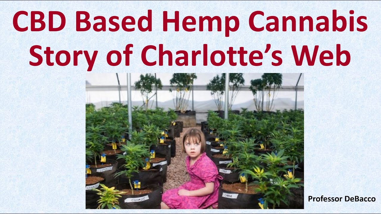 CBD Based Hemp Cannabis Story of Charlottes Web