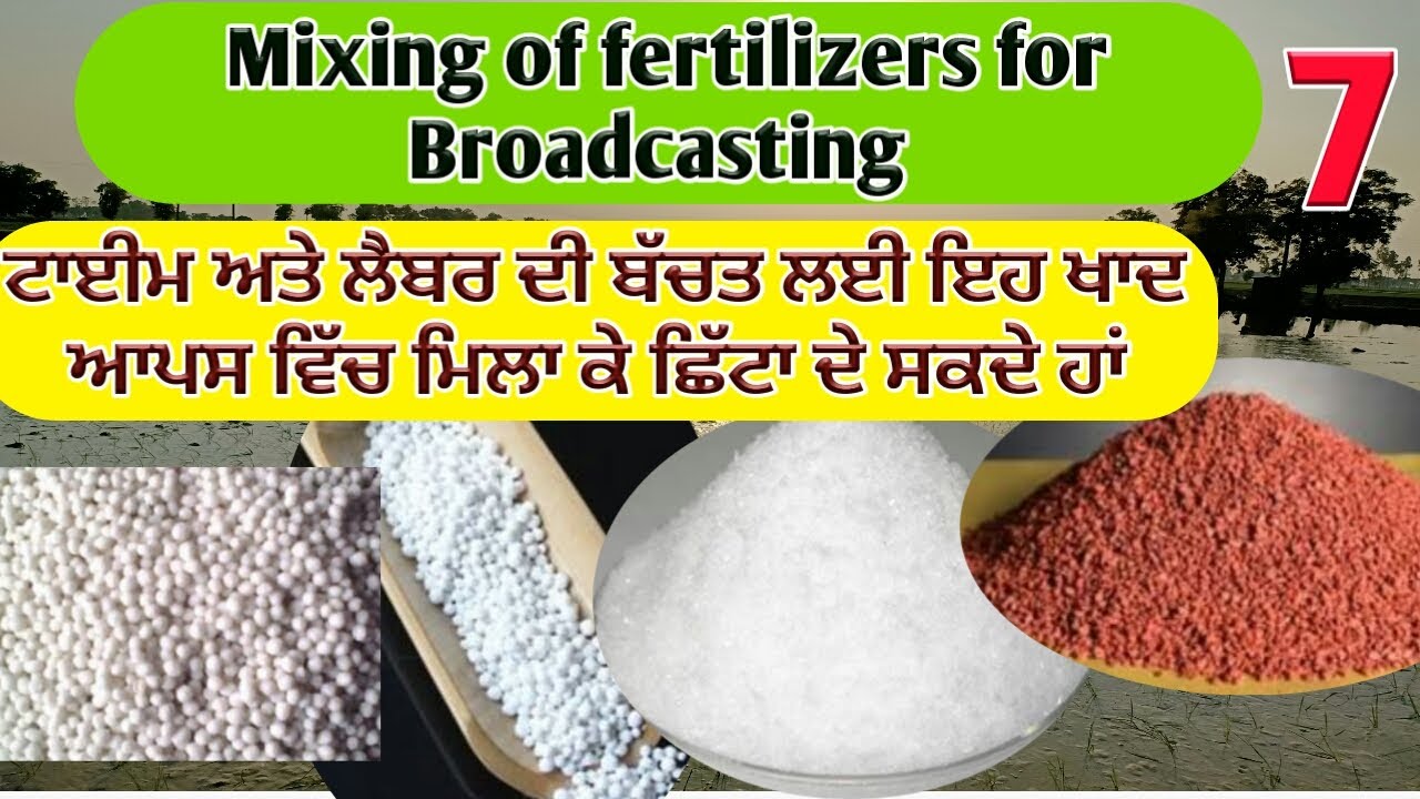 MIXING OF FERTILIZERS IN RICE CROP ( ਕਿਹੜੀਆਂ ਕਿਹੜੀਆਂ ਖਾਦਾਂ ਆਪਸ ਵਿੱਚ ਮਿਲਾ  ਸਕਦੇ ਹਾਂ) shergill Markhai