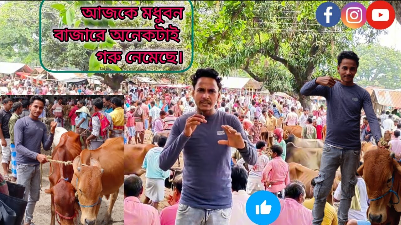গরু কিনতে মধুবন বাজার এসেছি❓ #vlogger #vlog #lifeisbutadream #automobile #funny