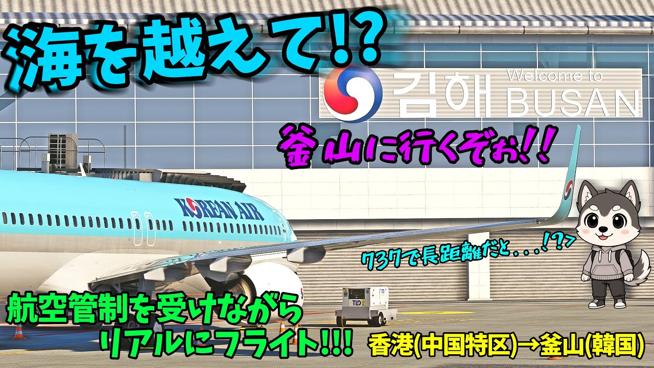 海を越えて！？ 737で行く長距離国際線！！ #vatsim