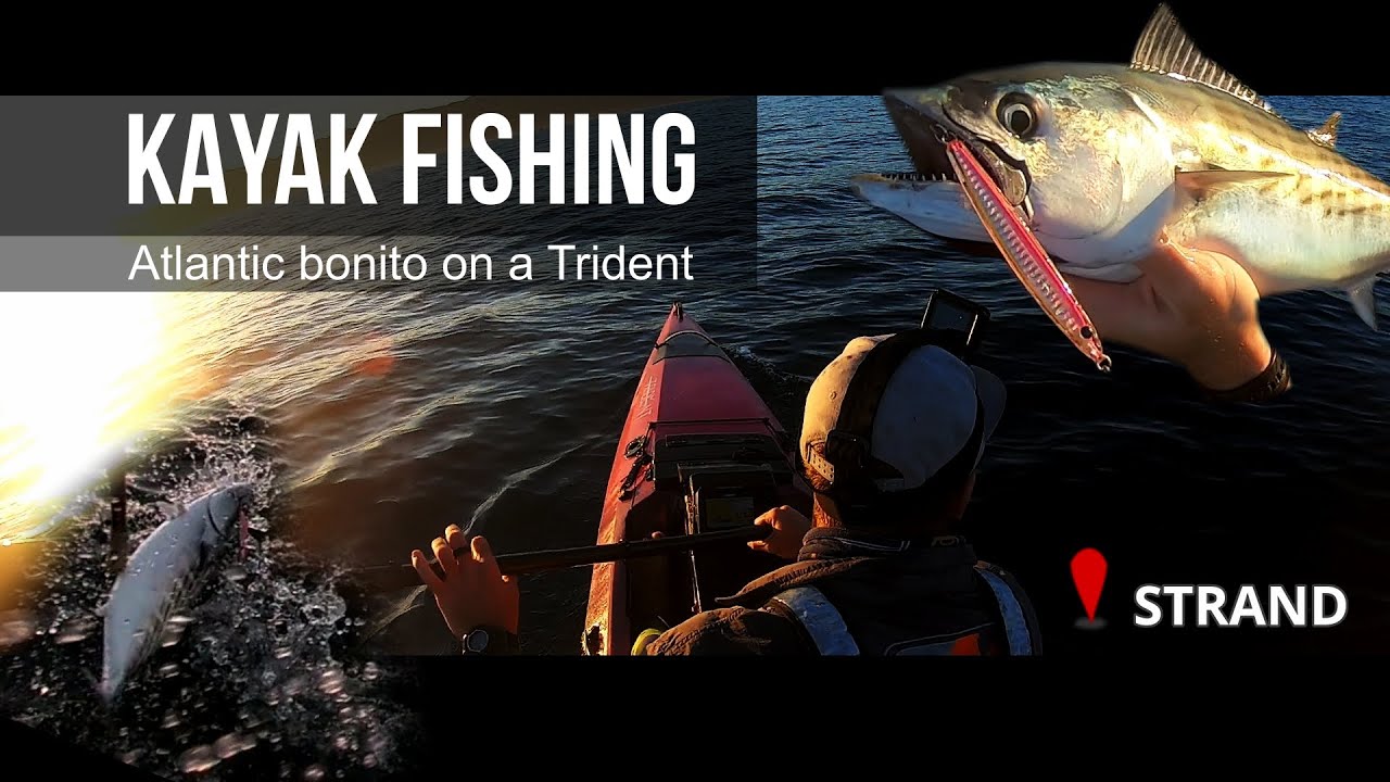 Bonito fishing/trolling lures | Trident fishing kayak