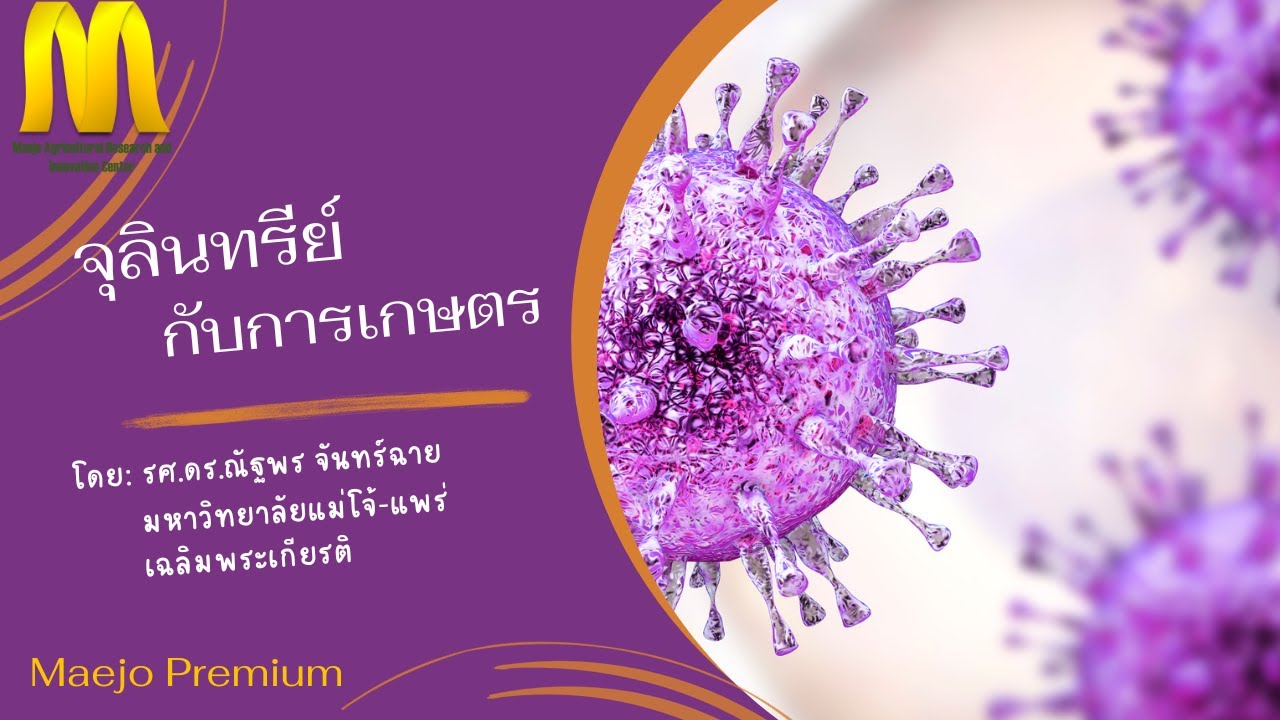 จุลินทรีย์กับการเกษตร : รศ.ดร.ณัฐพร จันทร์ฉาย มหาวิทยาลัยแม่โจ้-แพร่ เฉลิมพระเกียรติ