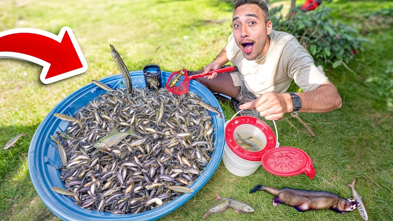 CRIANDO FAZENDA de PEIXES para PESCAR e ALIMENTAR *piscicultura*