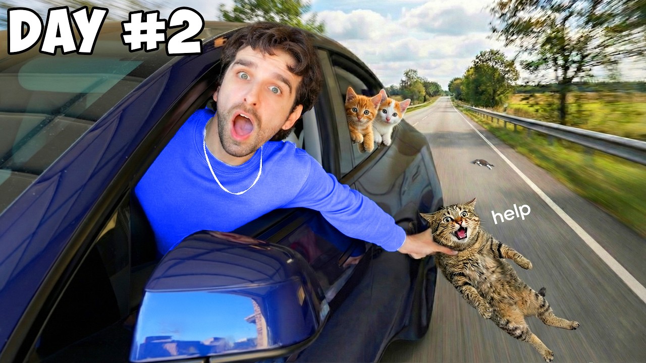 I Spent 24 Hours In a CAR With My KITTENS (it was bad)