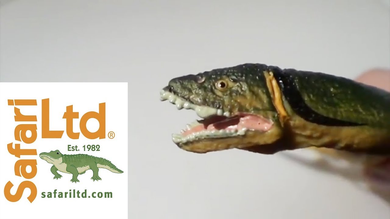 Safari Ltd. Elasmosaurus Figure Review-Review For Adult Collectors by an Adult Collector