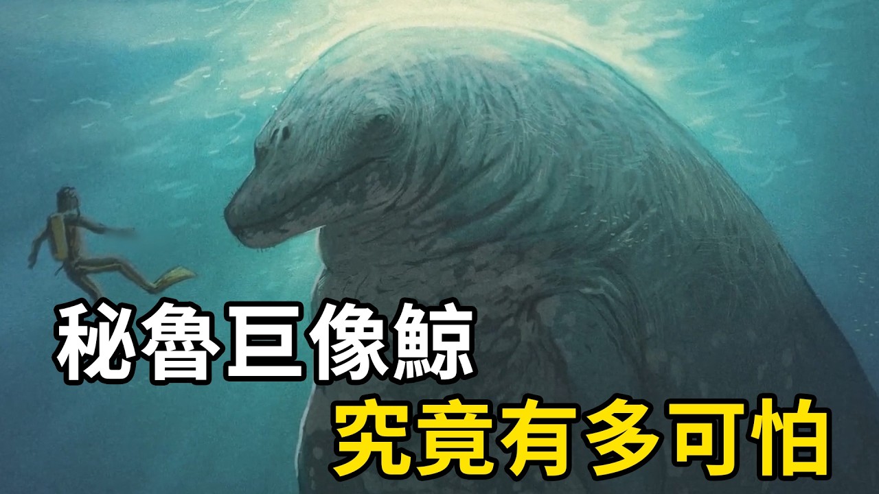 藍鯨在它面前像孩子！秘魯巨像鯨究竟有多可怕？ | #紀錄片 #有趣   #動物 #知識  #生物