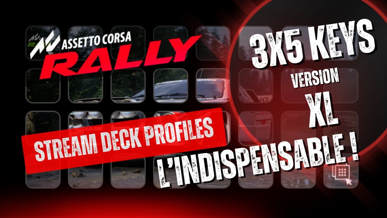 ASSETTO CORSA RALLY : LE PROFIL INDISPENSABLE !