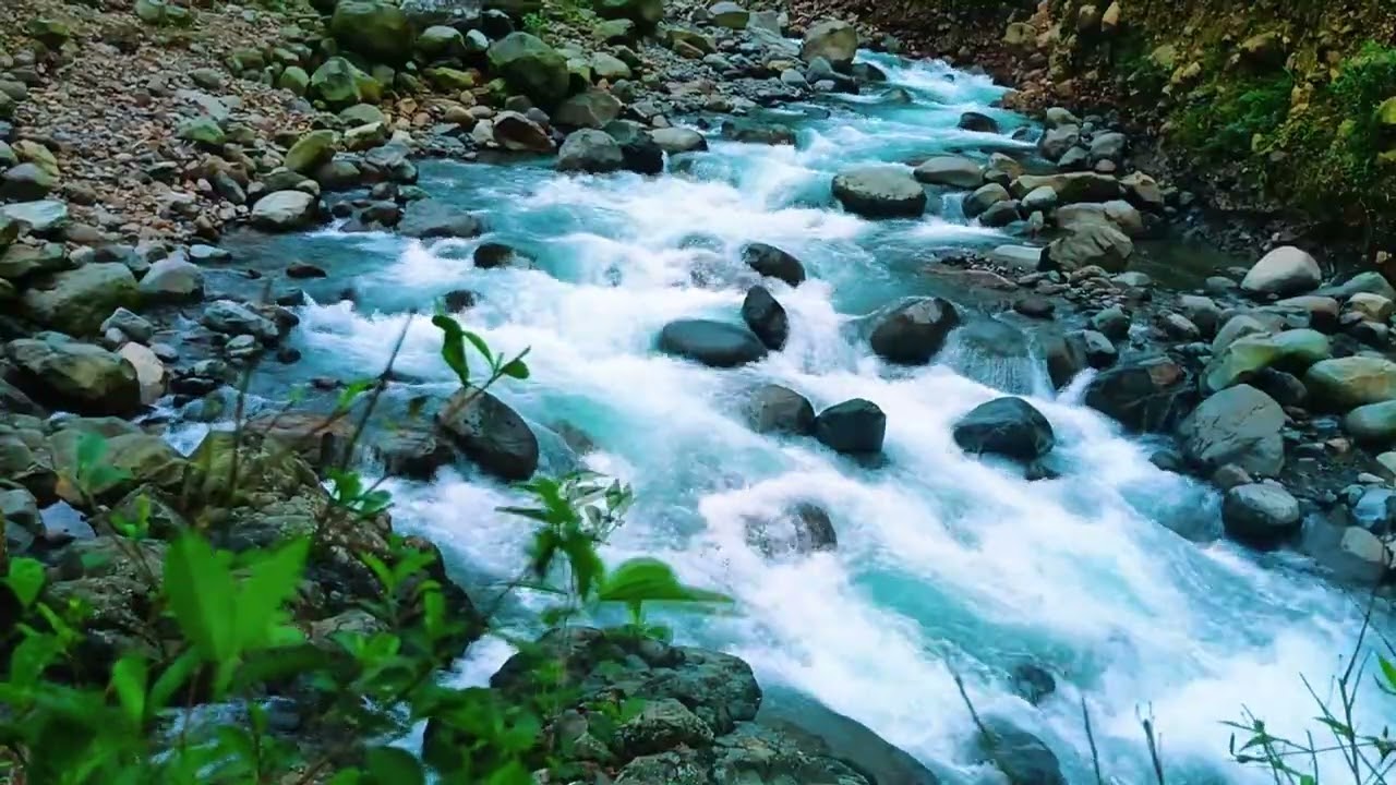 Flowing River Sounds for Deep Focus & Stress Reduction | Calm Natural Water Flow