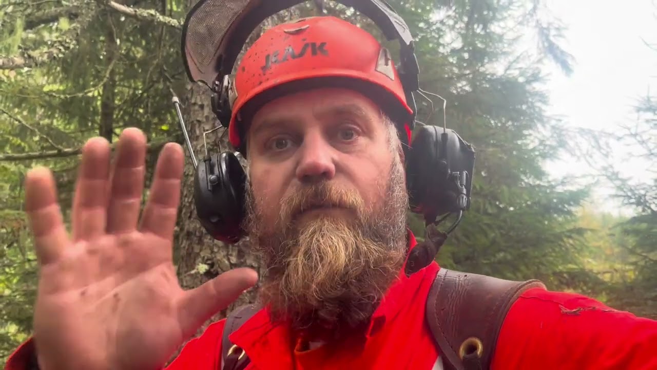 William har skaffat ny såg! Krångel granar, gubb kissa, paket från Amerika, jobbet klart!
