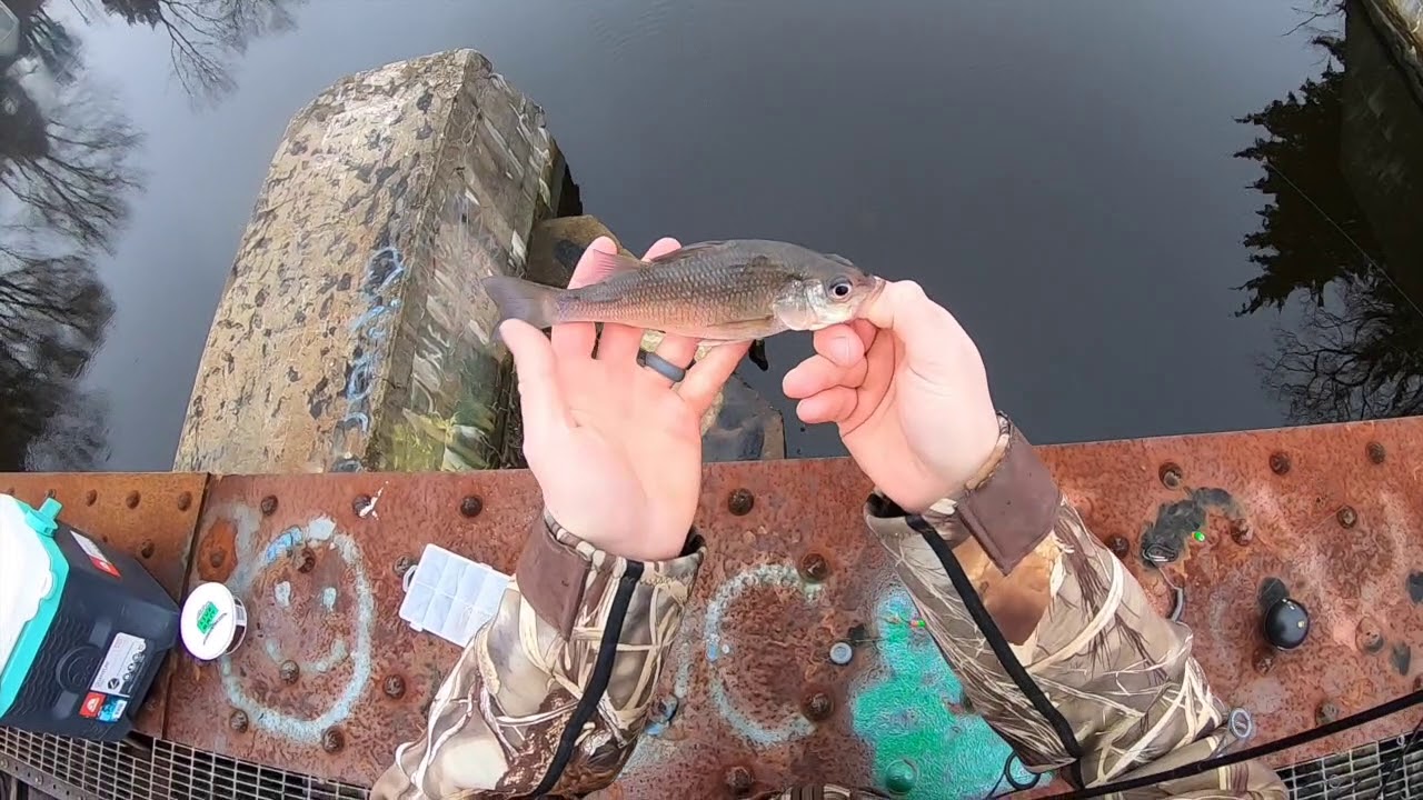 NJ Winter White Perch Fishing