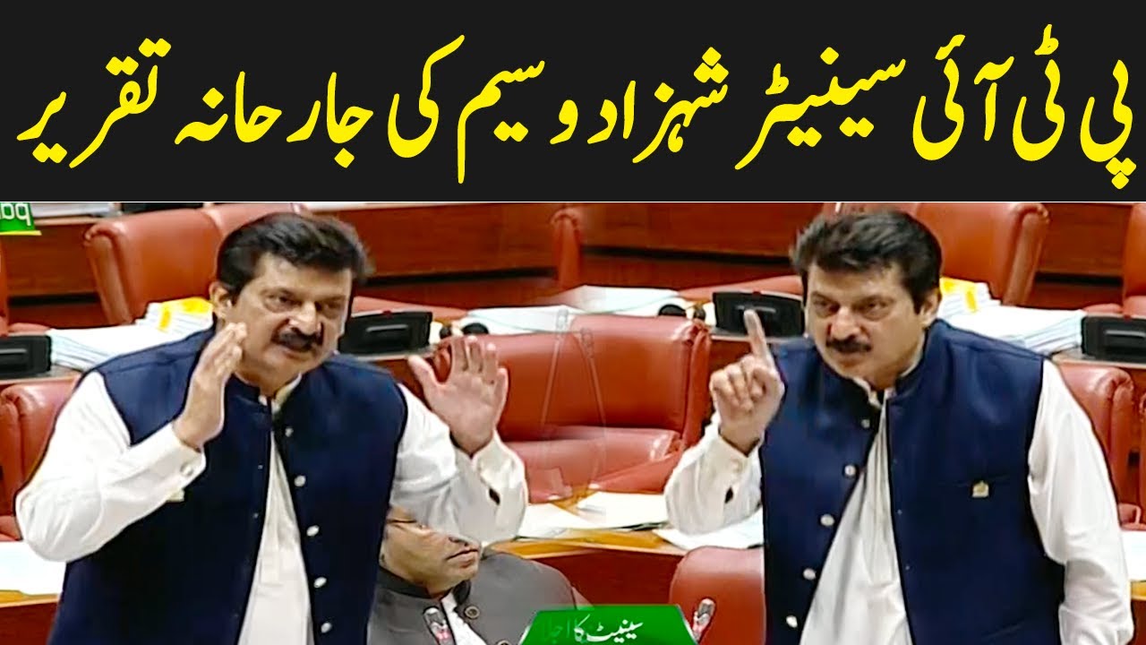 PTI Senator Shahzad Waseem Aggressive speech | GNN