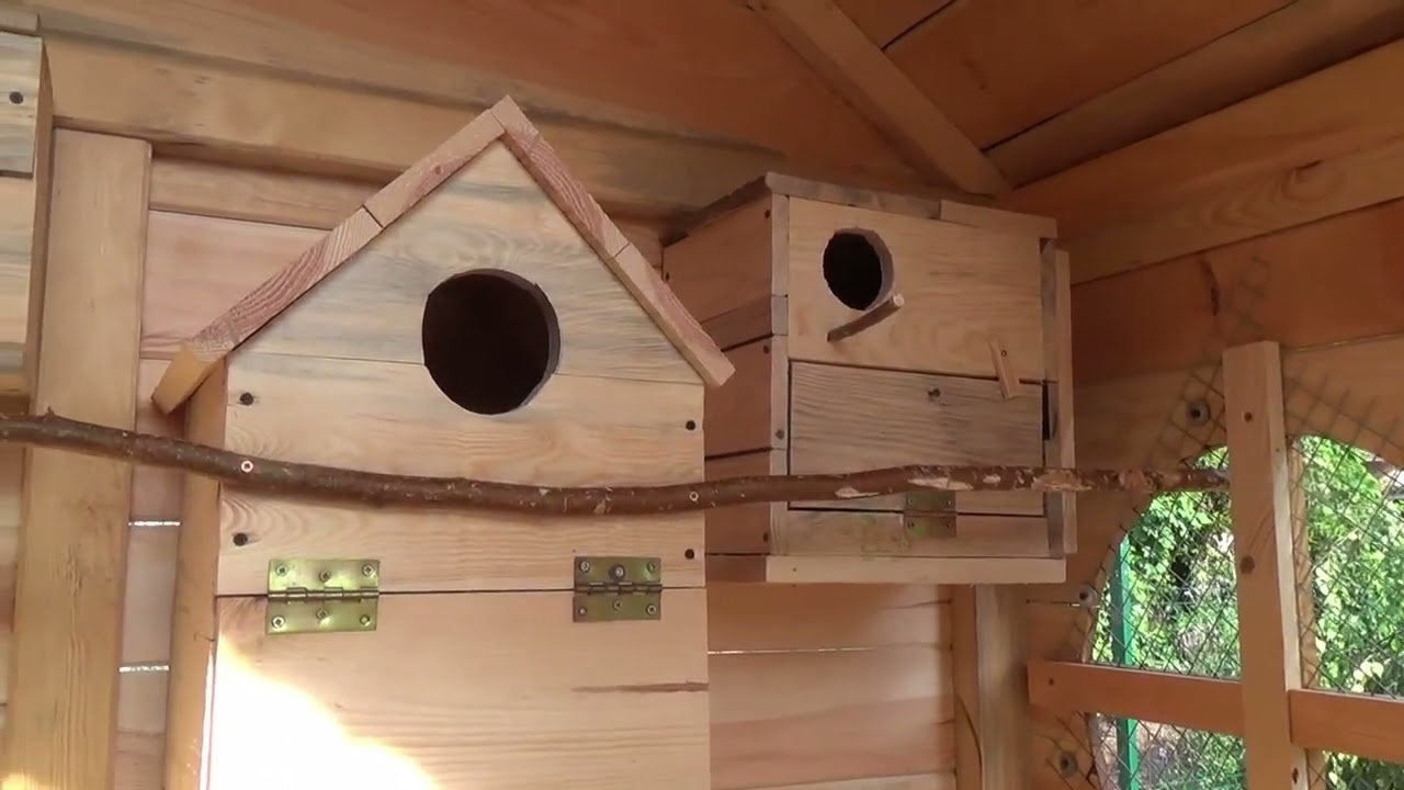 jak zbudować wolierę dla ptaków,wyposażenie woliery,how to build an aviary for birds, aviary equipme