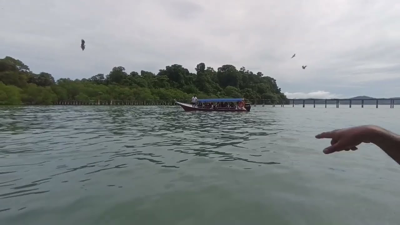 Eagle Feeding in Island Hoping Tour at Langkawi Islands