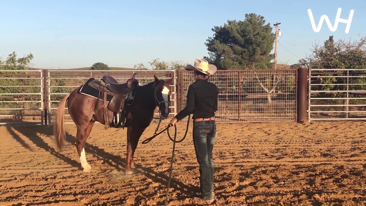 Kate Neubert's Groundwork Exercise