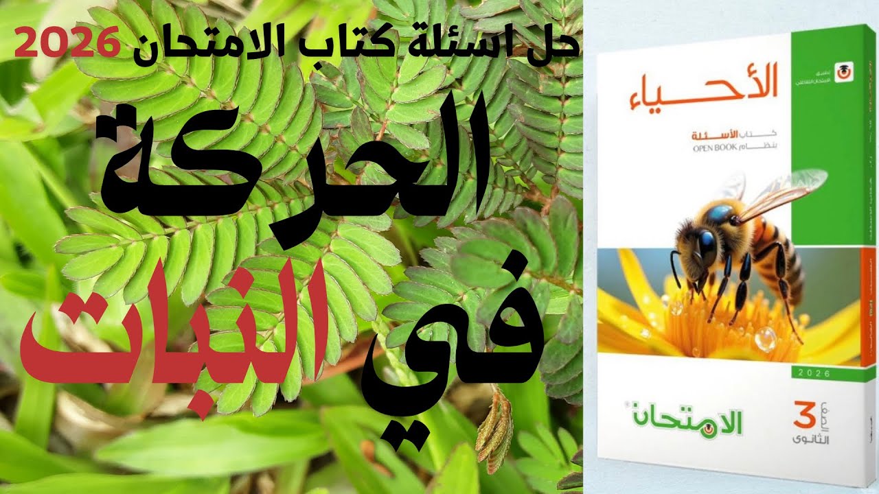 حل جميع اسئلة كتاب الامتحان ٢٠٢٦ انواع الحركة + الحركة في النبات (اختياري ومقالي) 
