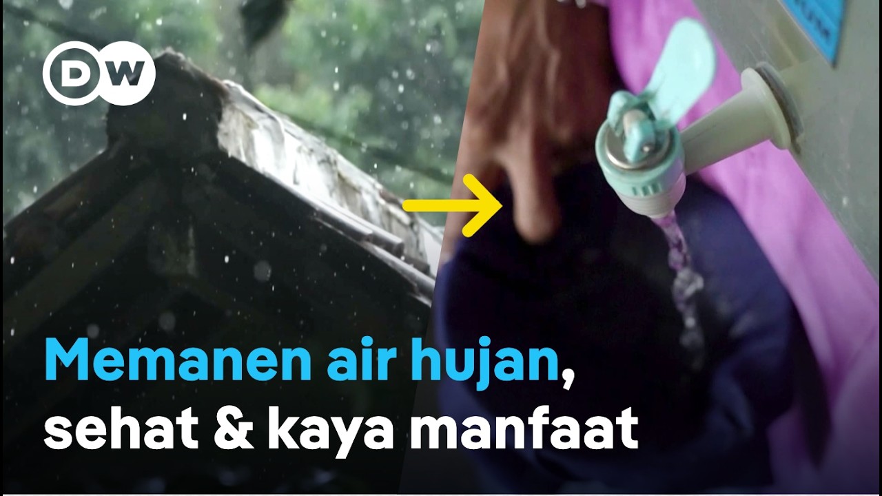 Jangan beli galon: Ternyata Air hujan bisa diminum, inikah solusi melawan krisis air? | DW Inovator