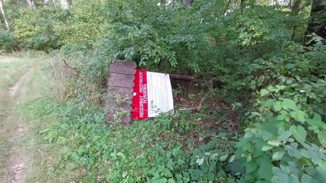 Rezerwat Ponikwa.