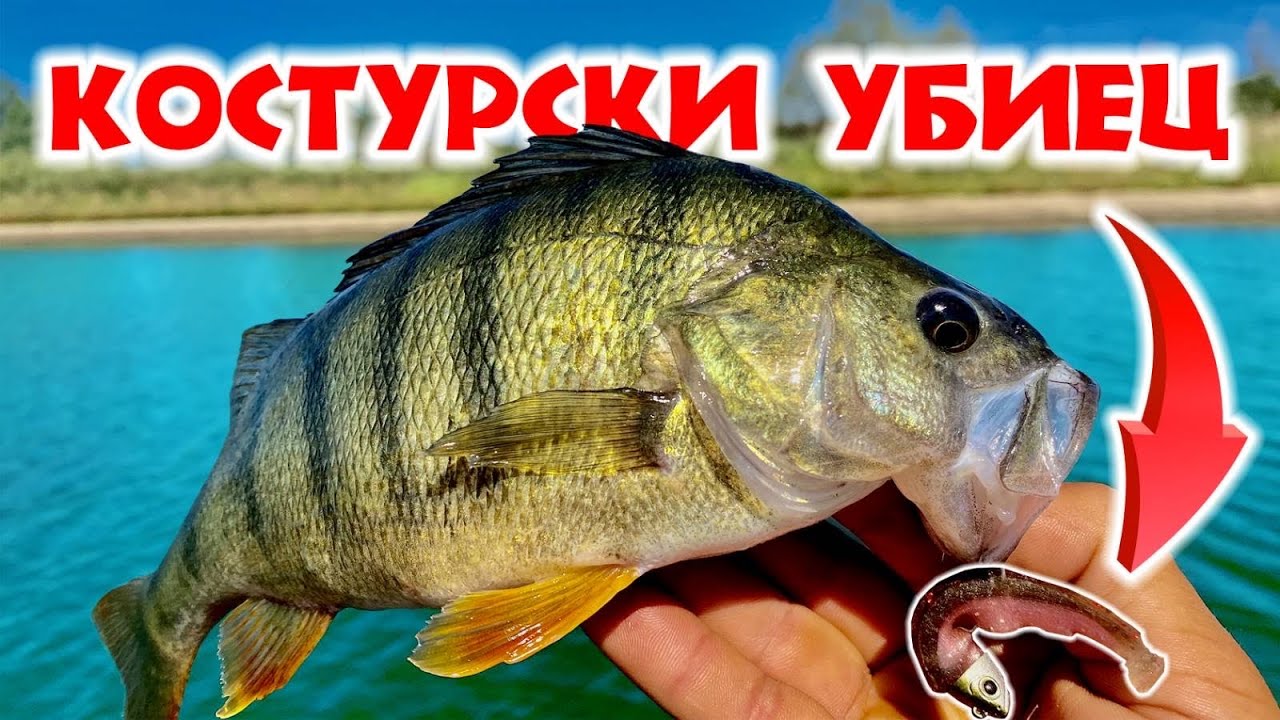 БЕЗБРОЙ РИБИ!!Риболов на КОСТУР.