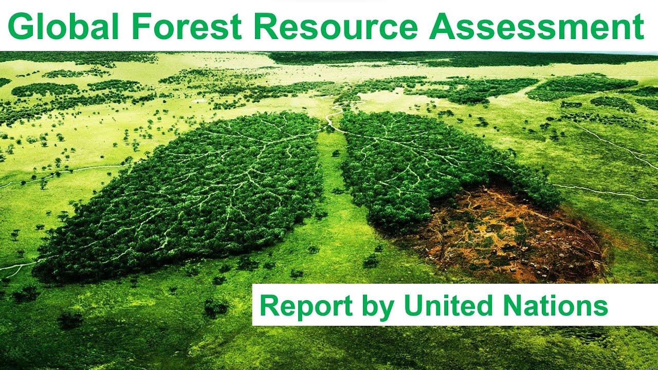 (FRA 2020 RSS) Shocking revelations by Global forest resource assessment report of United Nations.