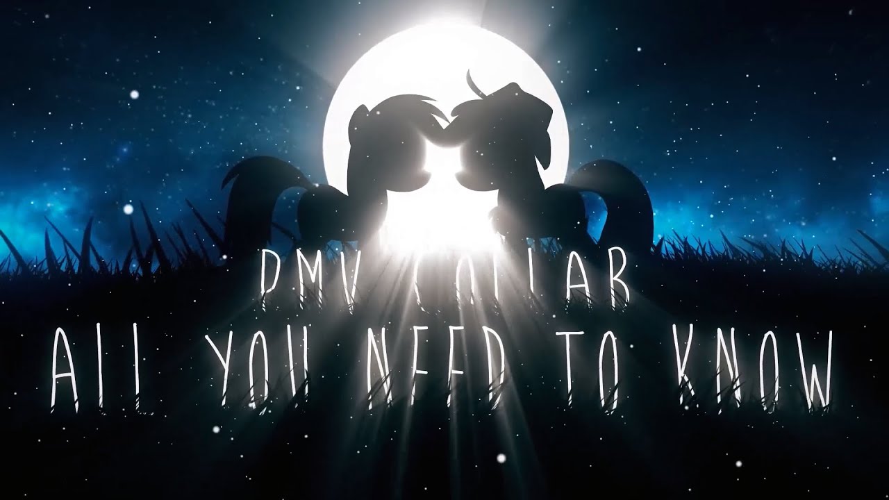 All You Need To Know | PMV Collab