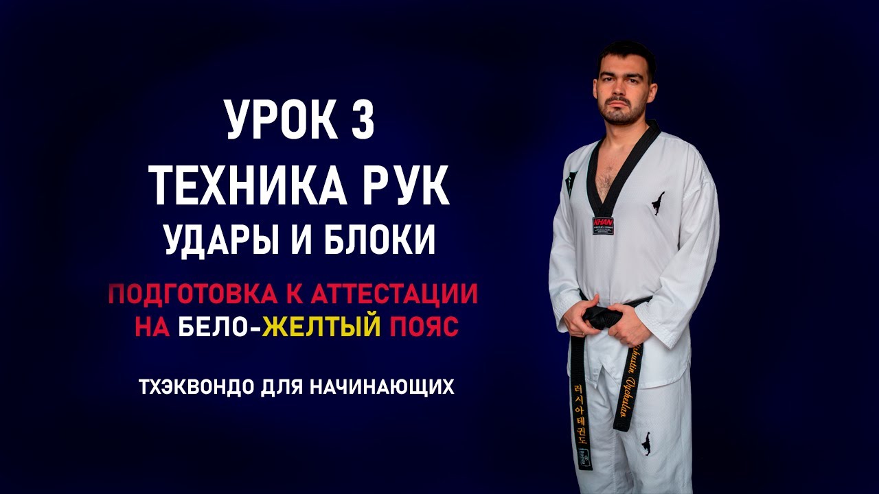 Подготовка к аттестации на бело-желтый пояс. Урок 3. Техника рук. Удары и блоки
