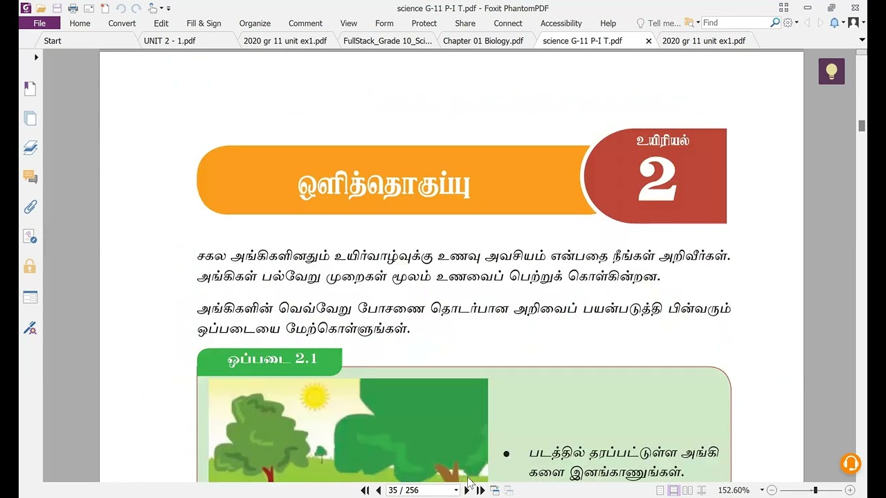 Class No 6 | Grade 11 | Science | Unit 2 - Photosynthesis