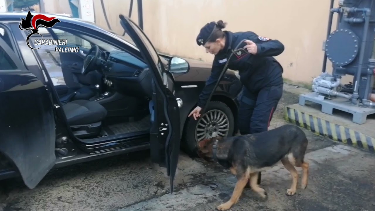 Arresti droga Palermo
