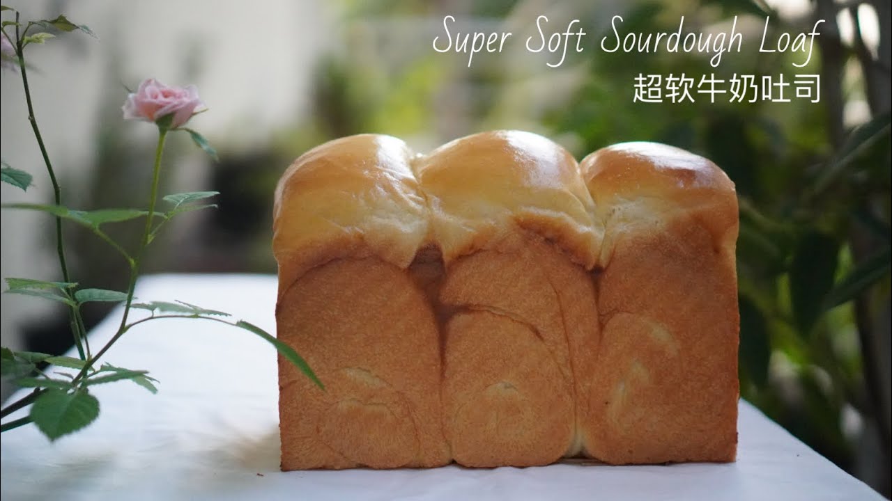 How to make Super soft Sourdough Loaf | Sourdough Shokupan | 牛奶吐司 | 天然酵母牛奶吐司| 酸种生吐司 #sourdough #吐司