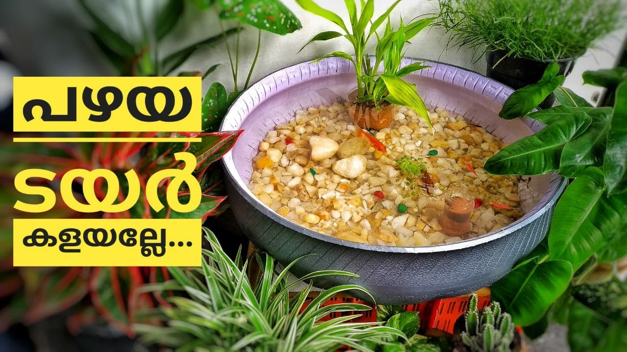 വീടിനകത്ത് ഗപ്പിയെ വളര്‍ത്താന്‍  അടിപൊളി ടയര്‍ പോണ്ട്| SIMPLE TYRE FISH POND MAKING AT HOME