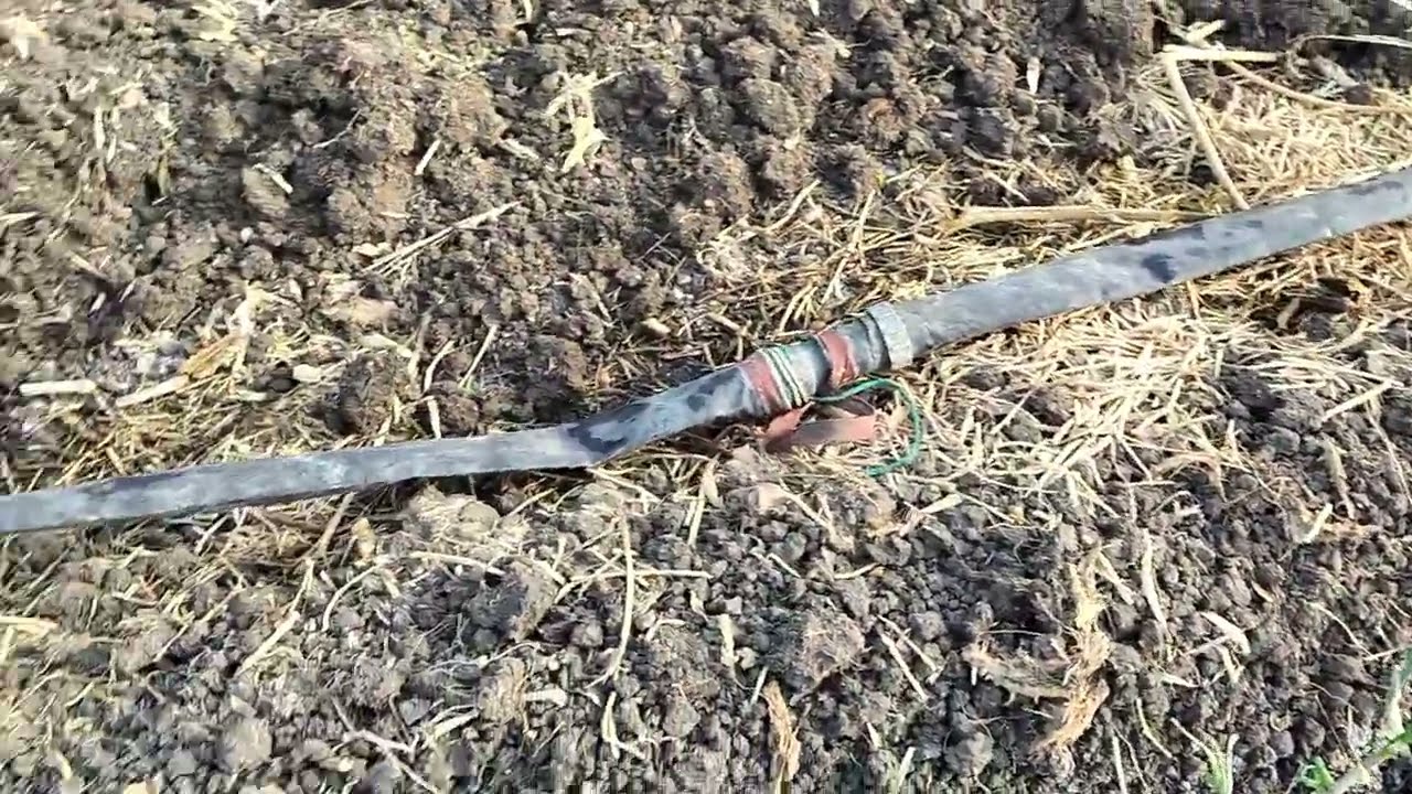  इंडोनेशिया स्मार्ट नेपियर चाऱ्यामध्ये Indonesian smart Napier chara 