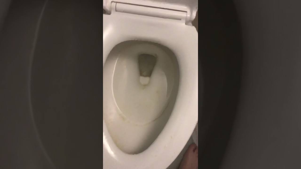 1603-2019 flood toilet