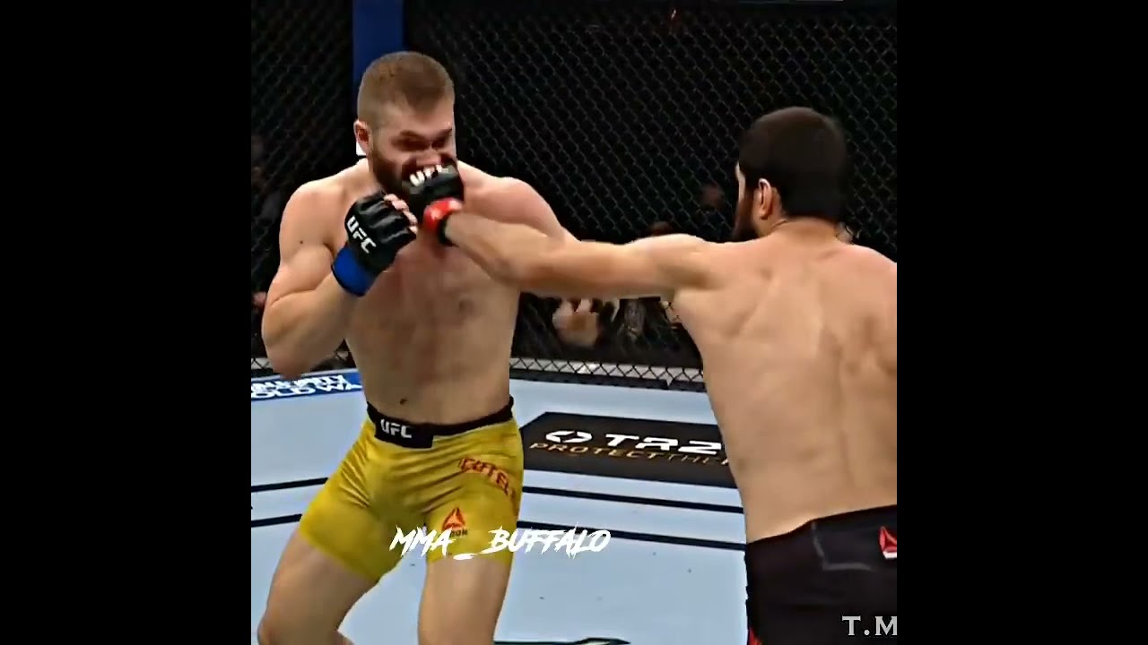 UFC 254: Magomed Ankalaev vs. Ion Cuțelaba 2
