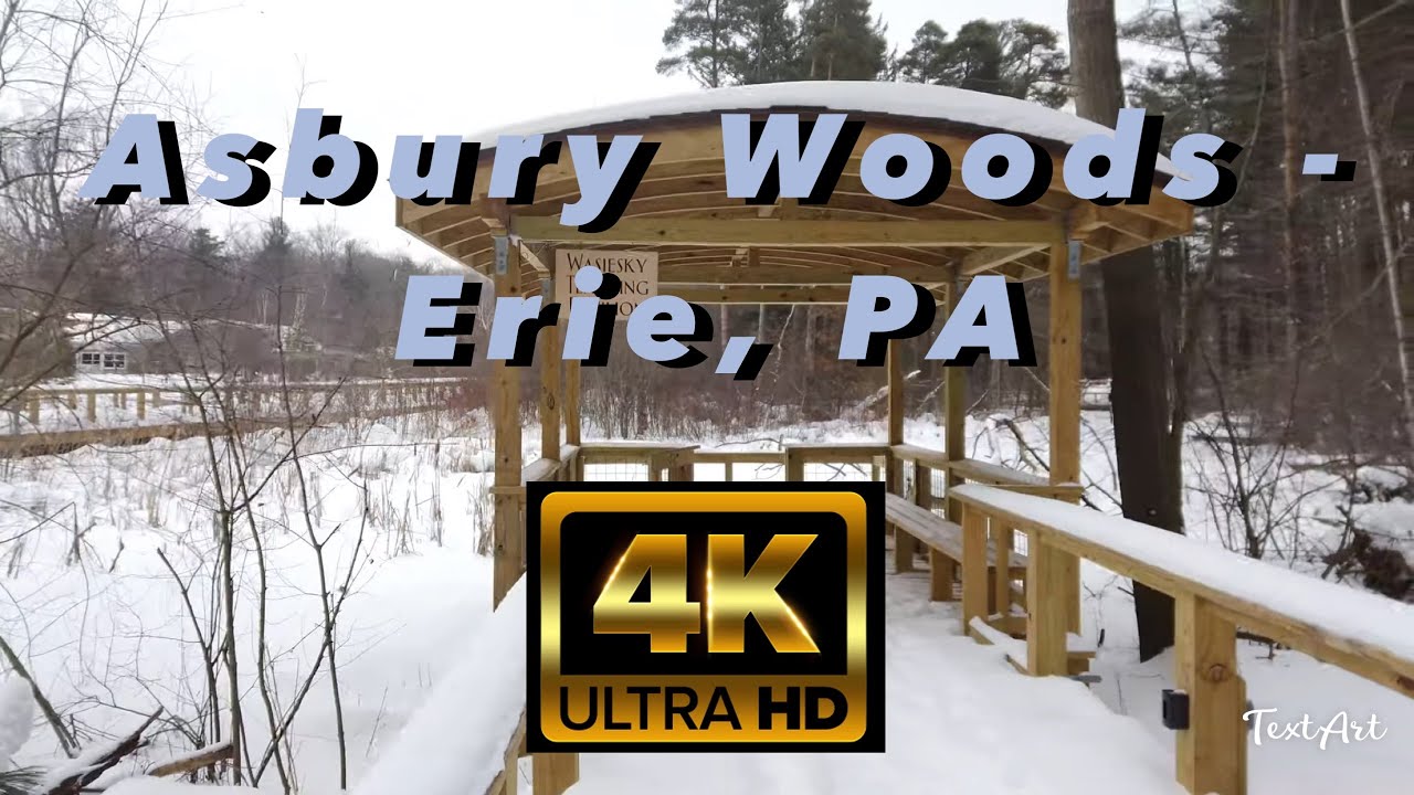【4K】Asbury Woods - Winter Day Walk