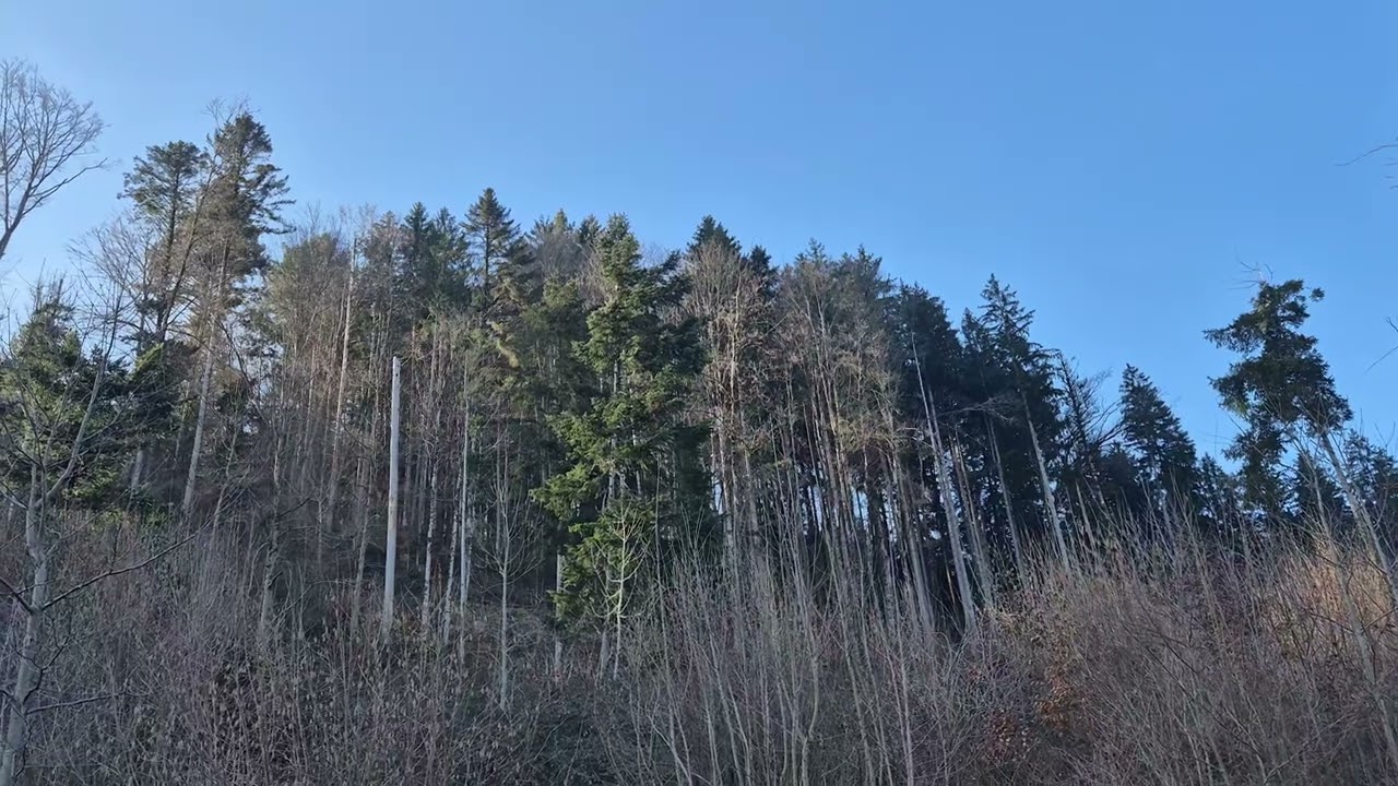 Mein Leben in Freiburg Tag 123