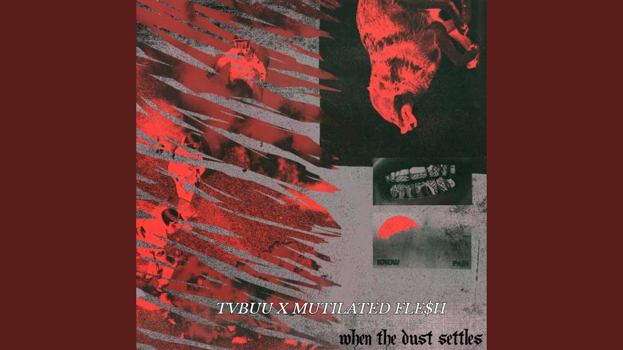 WHEN THE DUST SETTLES (feat. Mutilated FLE$h)