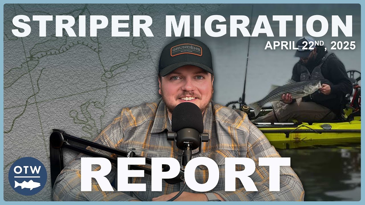 Striper Migration Report | April 22nd 2025