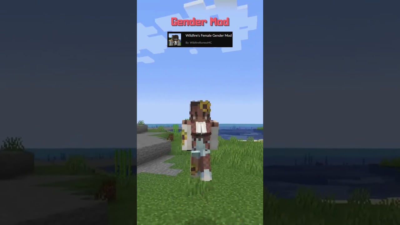 Minecraft: Gender Mod #shorts #modshowcase