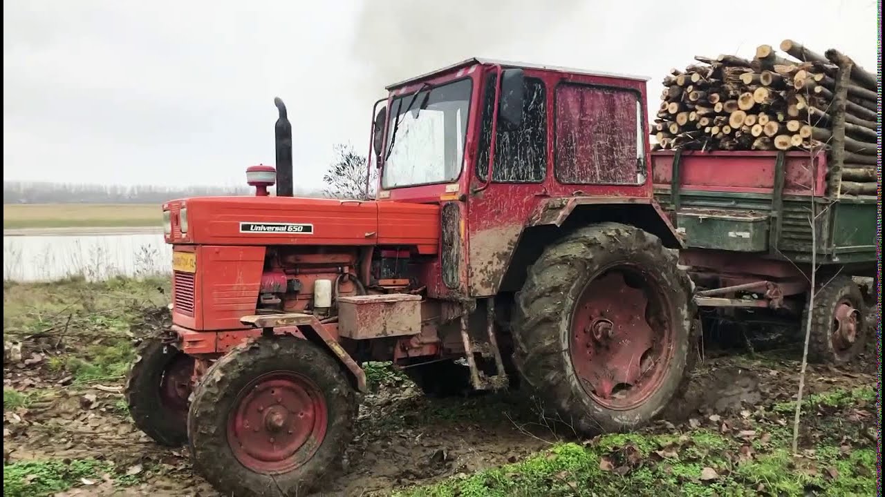 U650 M la pădure