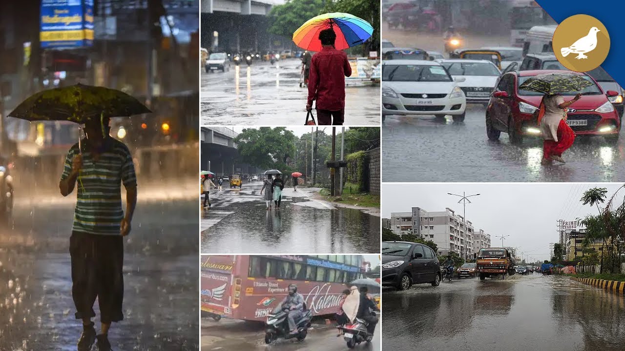 Moderate Rain Lashes Hyderabad Since Last Night, City Roads Waterlogged