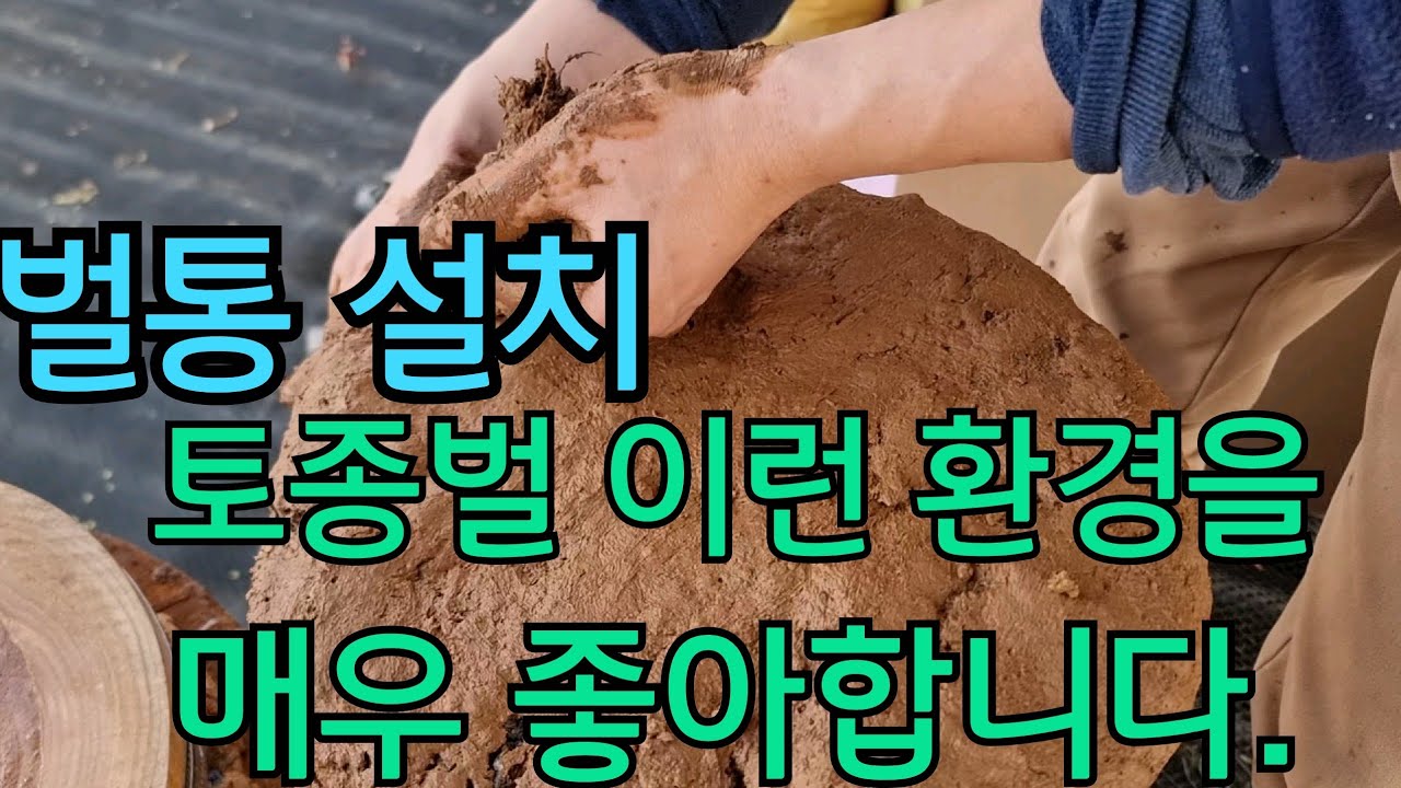 토종벌 이런 환경을 매우 좋아합니다. 토종벌통 이렇게 설치하면 최고! 지금 서둘러서 좋은자리 먼져 선점 하세요!!