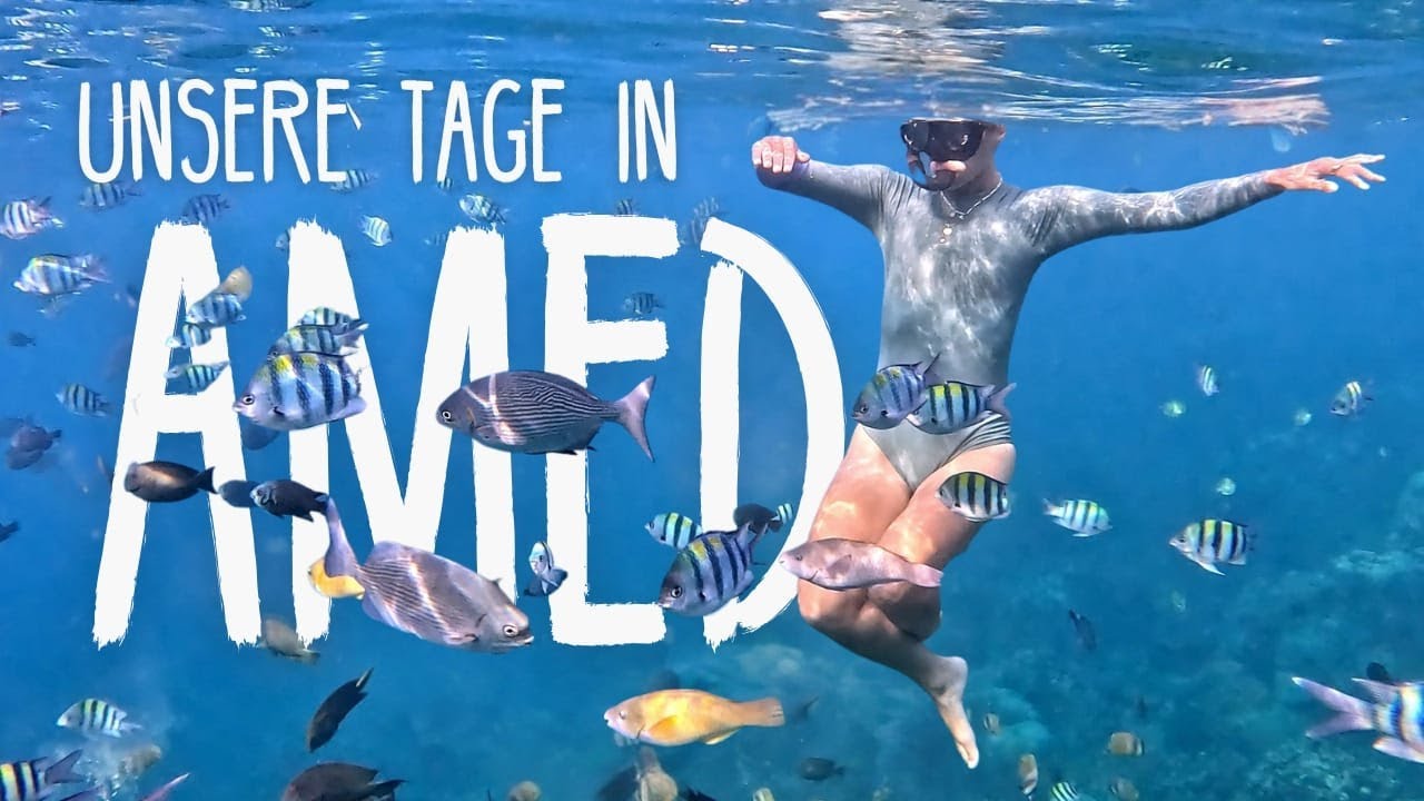 🐠🐢 Amed: Schnorcheln & Strände: Für wen sich der Trip lohnt, für wen nicht • Vlog 289