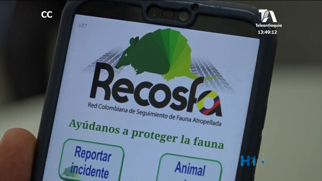 Recosfa, aplicaci&oacute;n para proteger las especies vulnerables en carretera