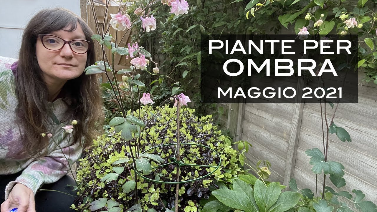 Piante per un giardino in semi ombra - Maggio 2021